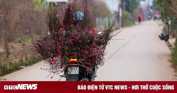 Прогноз погоды на 10 дней с ночи 14 января по 23 января для Ханоя и всей страны