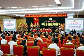 The 12th Provincial Farmers' Association Congress, term 2023 - 2028