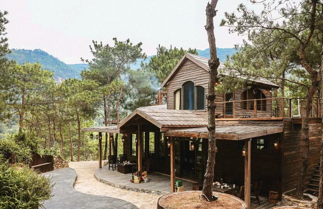 Những quán cafe view rừng thông đẹp mê ly để chị em  trong đợt nghỉ lễ này - Ảnh 1.