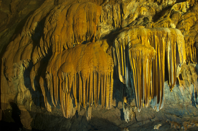 Stalaktiten in der Tien Son-Höhle. Foto: Van An