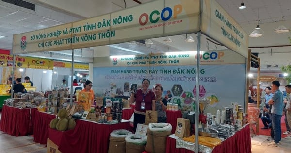 Trade promotion helps maintain trade growth in Dak Nong province