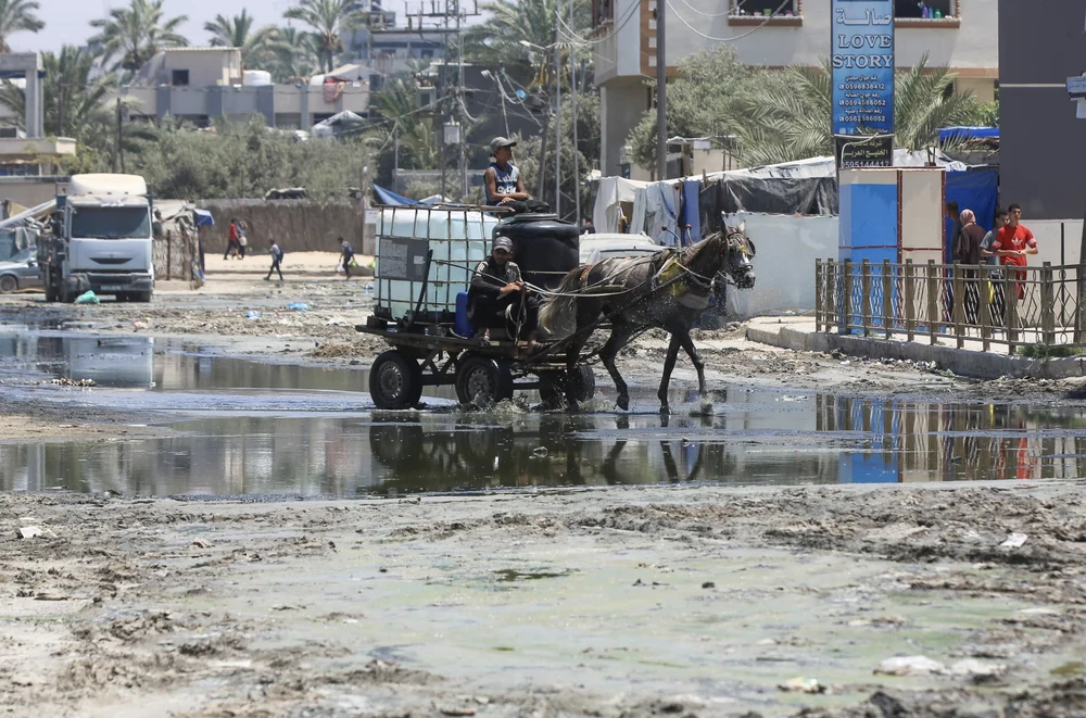 Poliovirus in Abwasserproben in Gaza nachgewiesen. Foto: Guardian