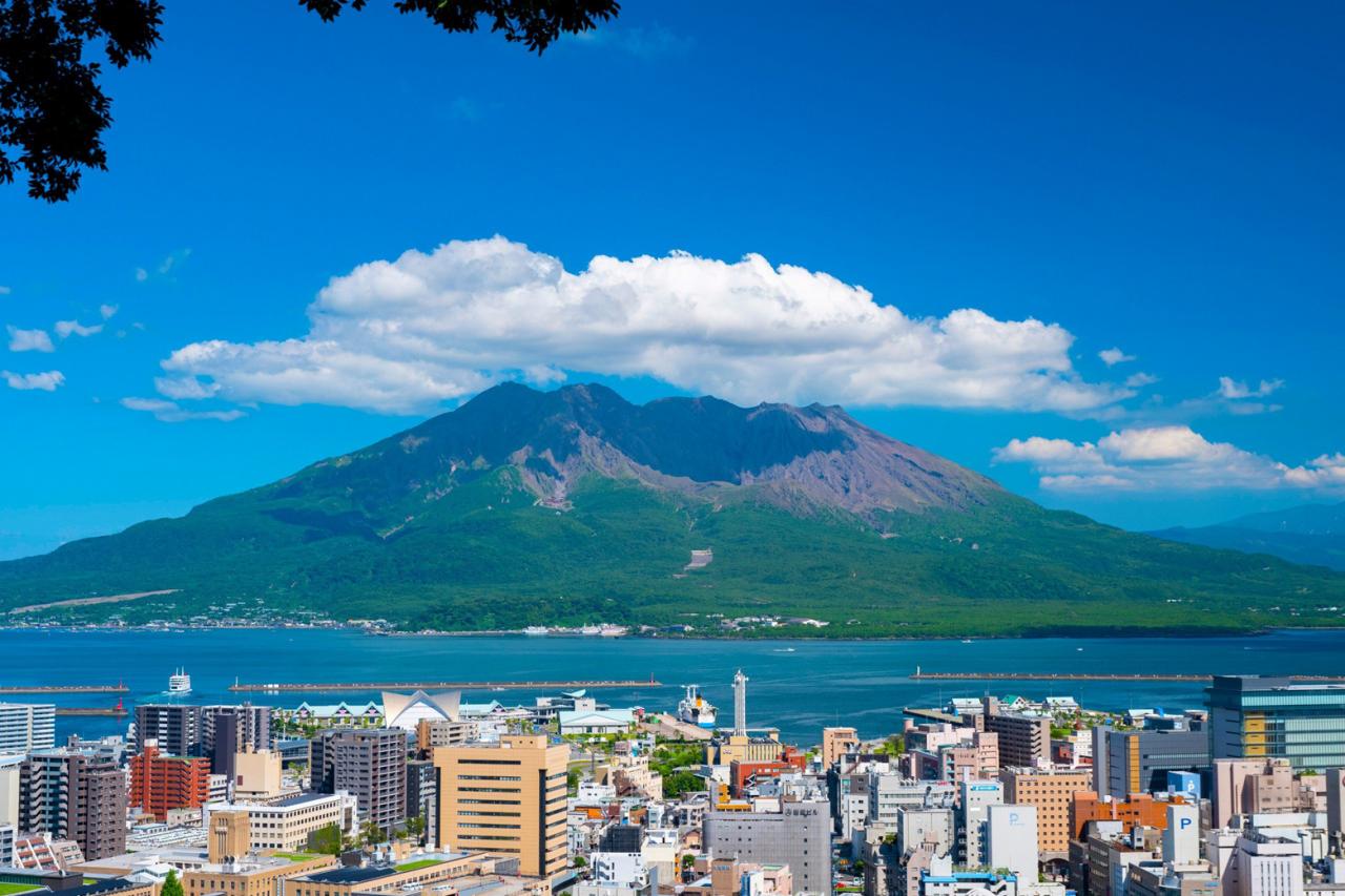 写真1.jpg