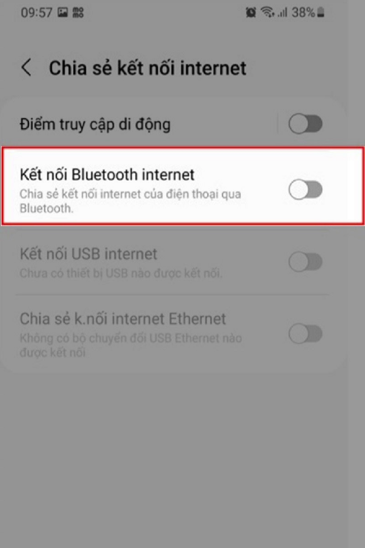 Open Bluetooth Internet Connection options.
