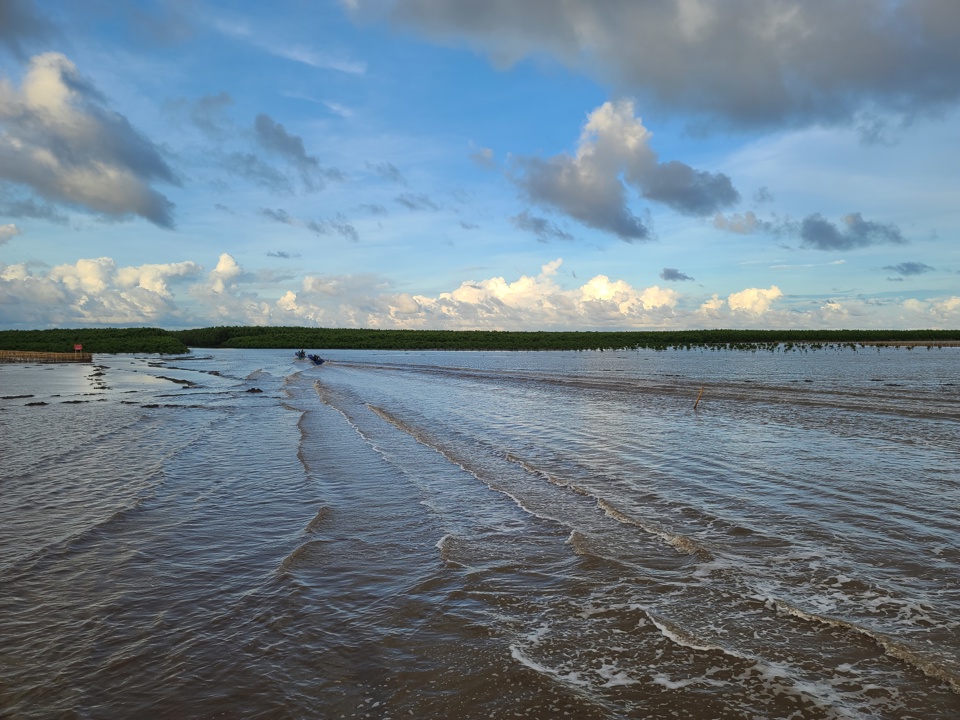 Après-midi sur les terres alluviales du Cap Ca Mau (Hoang Nam).