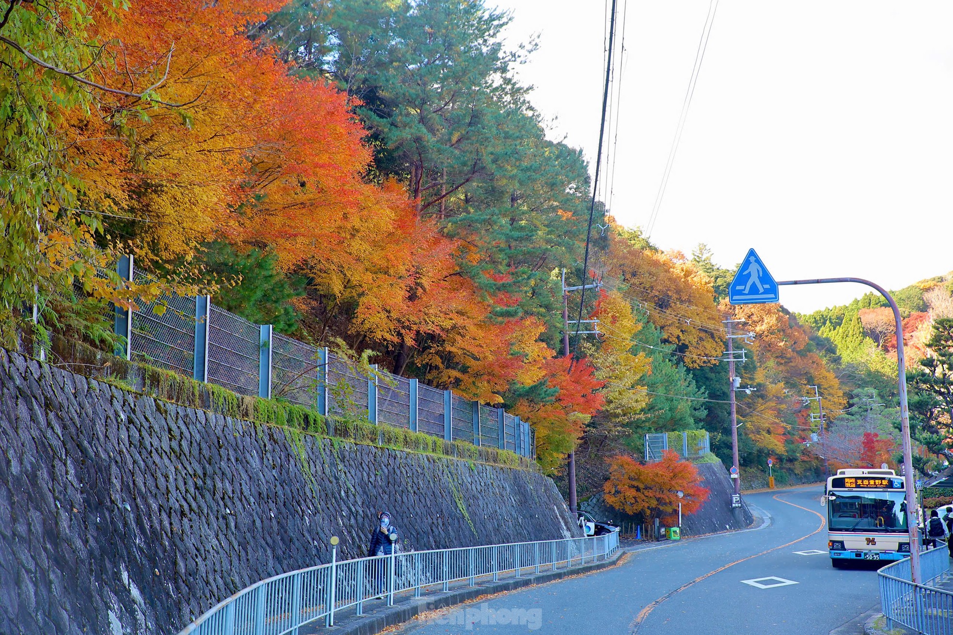 Fasziniert von der Herbstlandschaft mit roten und gelben Blättern in Japan, Foto 2