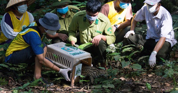 5 times awarded as Asia's leading national park, what's special about Cuc Phuong?