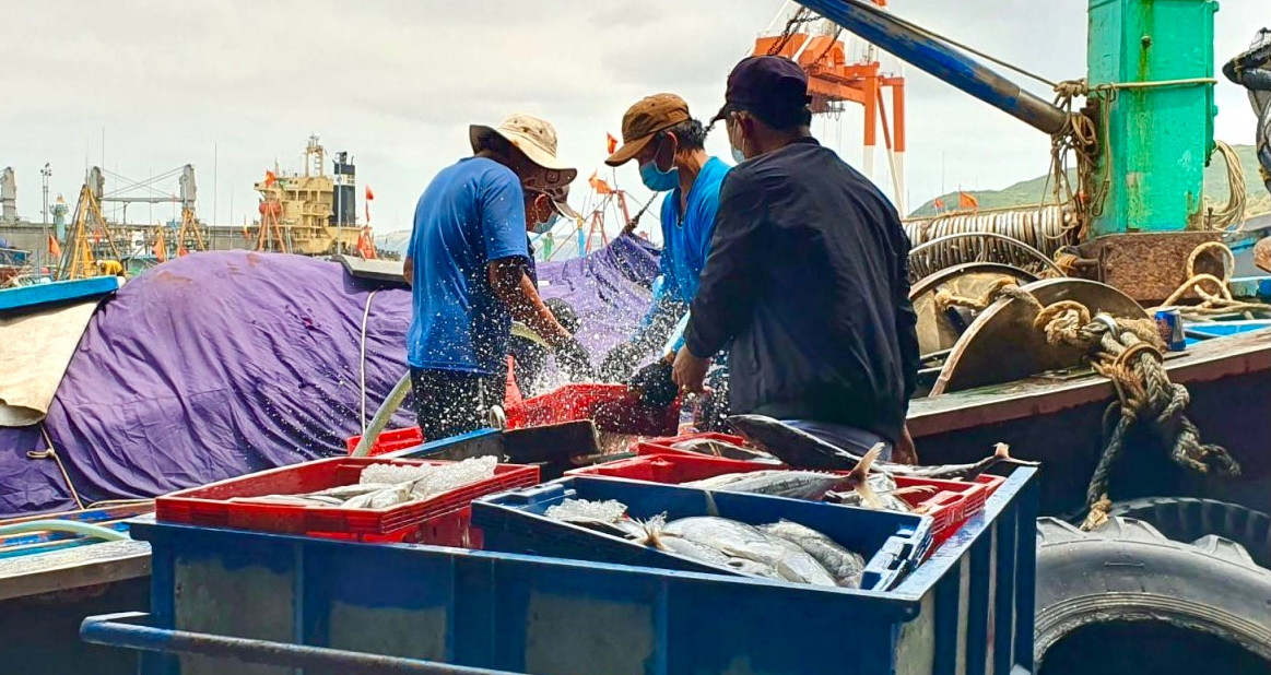 Los buques pesqueros deben llevar un libro de registro y los mariscos que llegan a puerto deben ser contabilizados.