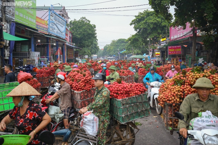 Bac Giang : les agriculteurs se précipitent pour transporter les litchis pour les peser et les vendre, les rues sont teintes en rouge - 2