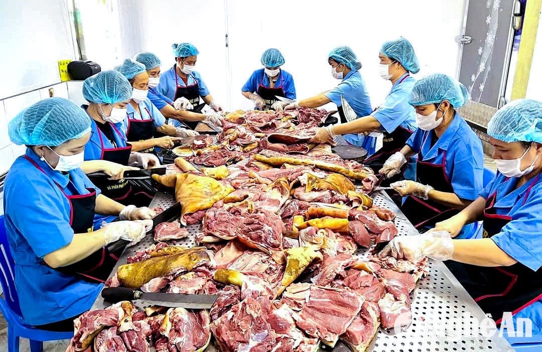 Продукция Nghe An OCOP «ловит волну» рынка Tet