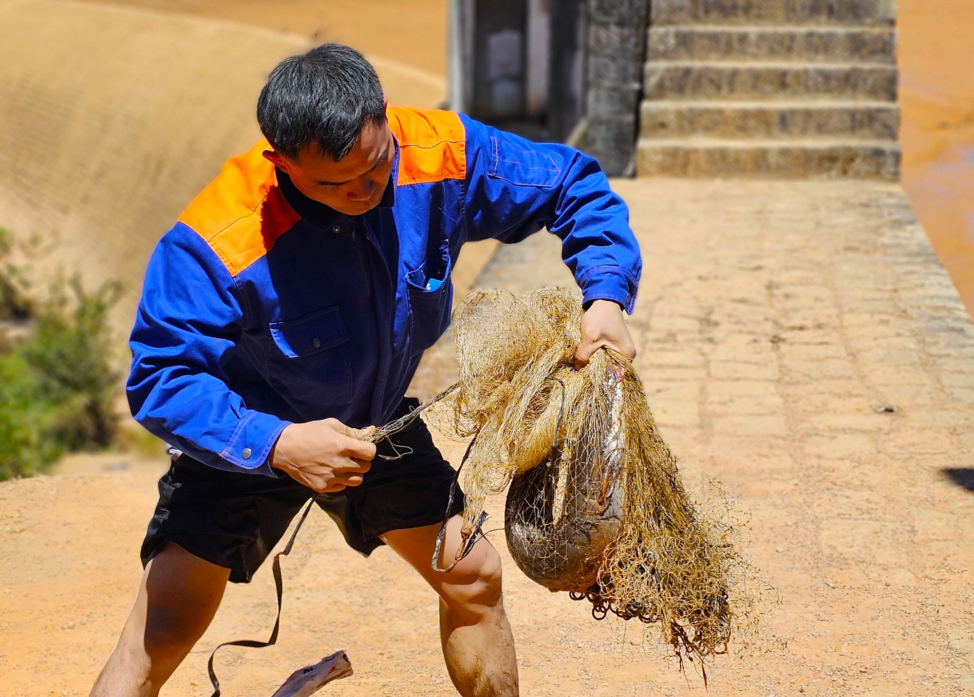 Một hồ thủy điện cao tuổi nhất Việt Nam ở Lâm Đồng, dân tình đang hô nhau bắt cá, vô số cá to 6-7kg/con- Ảnh 16.