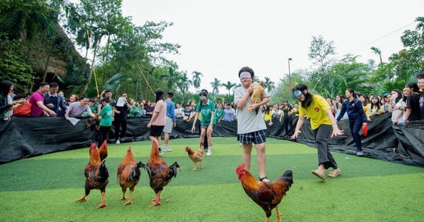 ควรระมัดระวังในการให้นักเรียนไปทัศนศึกษาตามโอกาส