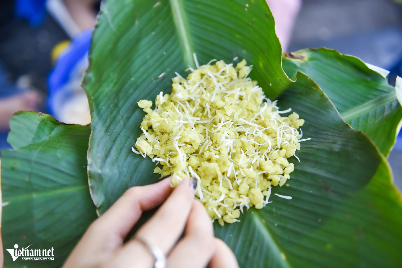 រដូវស្លឹកឈើជ្រុះនៅទីក្រុងហាណូយ 2.jpg