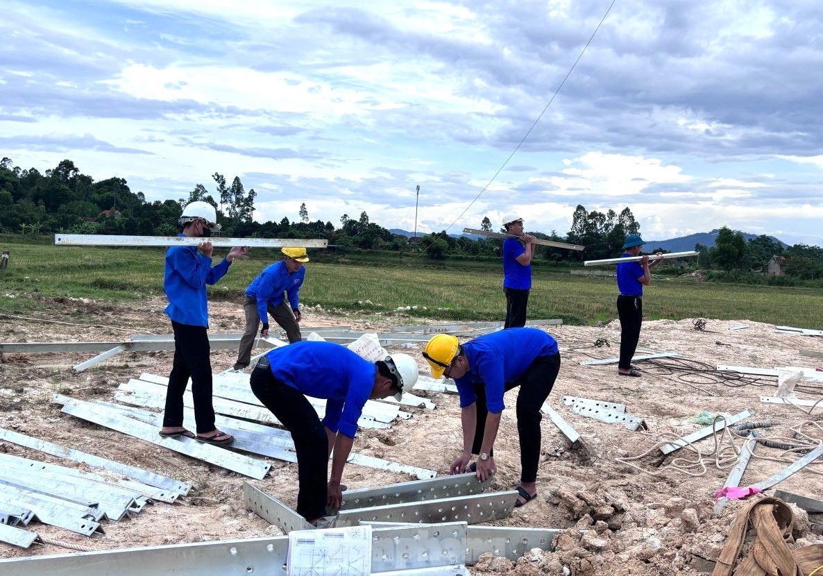 Beautiful images of green shirt volunteers contributing to the 500kV line project, circuit 3, photo 16