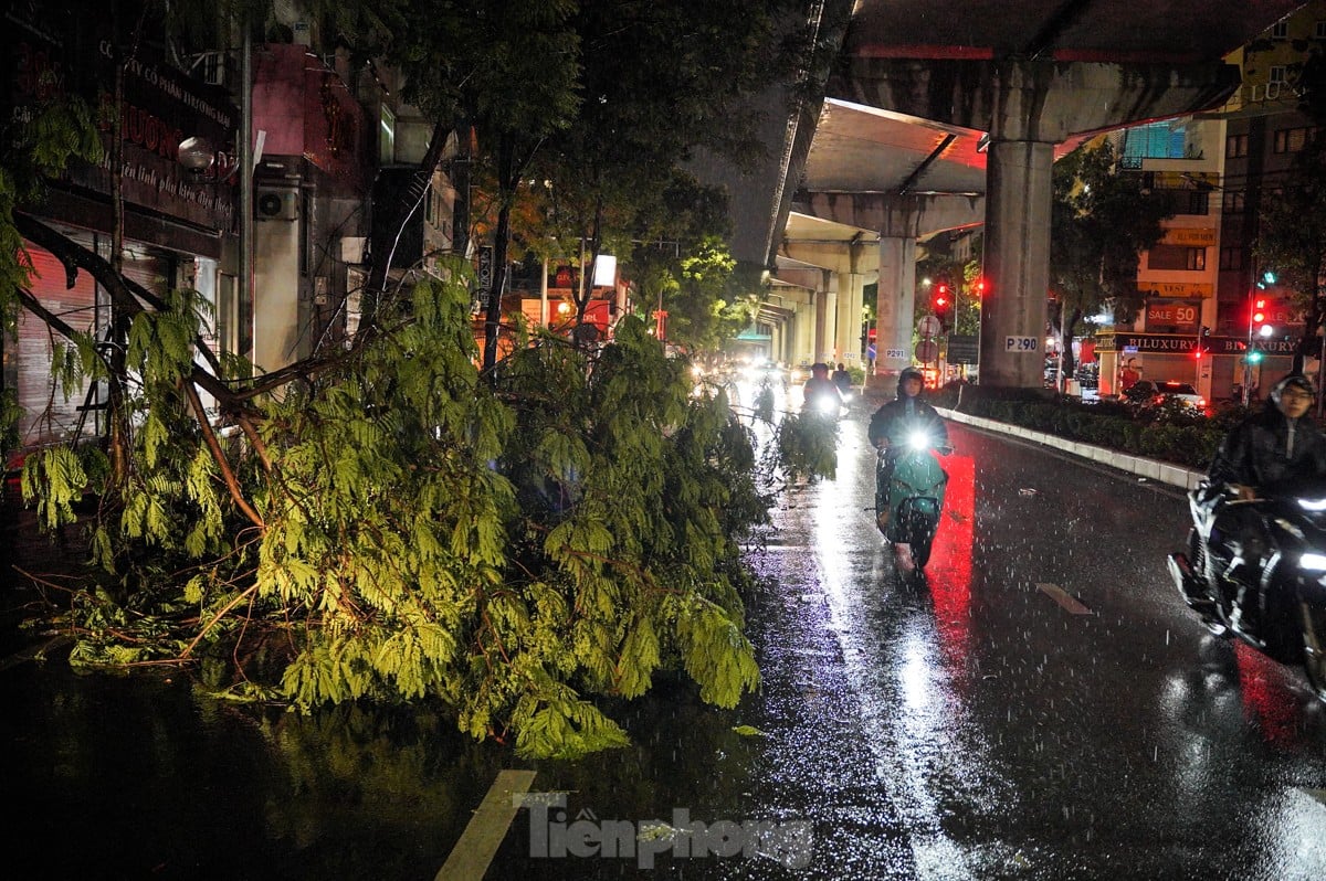 ハノイで大雨​​が降り、一連の木が倒れたり根こそぎにされたりした。写真3