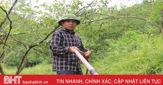 Nông dân Vũ Quang đào ao tích nước chống hạn cho cam