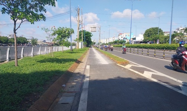 188 Bäume wurden gefällt, um die Motorradspur auf der East-West Avenue zu erweitern, Ho-Chi-Minh-Stadt, Foto 2