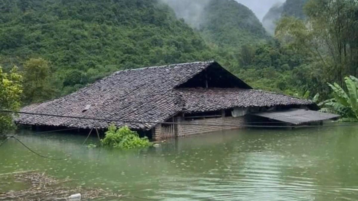 Canadá dona más de 10 mil millones de dongs a las personas afectadas por la tormenta número 3