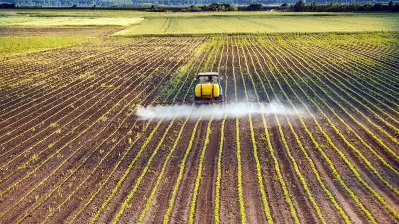 Propuesta para reducir a la mitad el uso de pesticidas en Europa