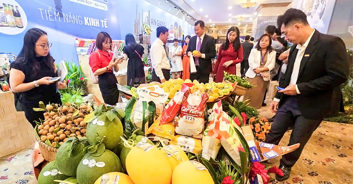 An Giang apporte du poisson tra, du sucre de palme... à Ho Chi Minh-Ville pour promouvoir et « dérouler le tapis » pour appeler à l'investissement