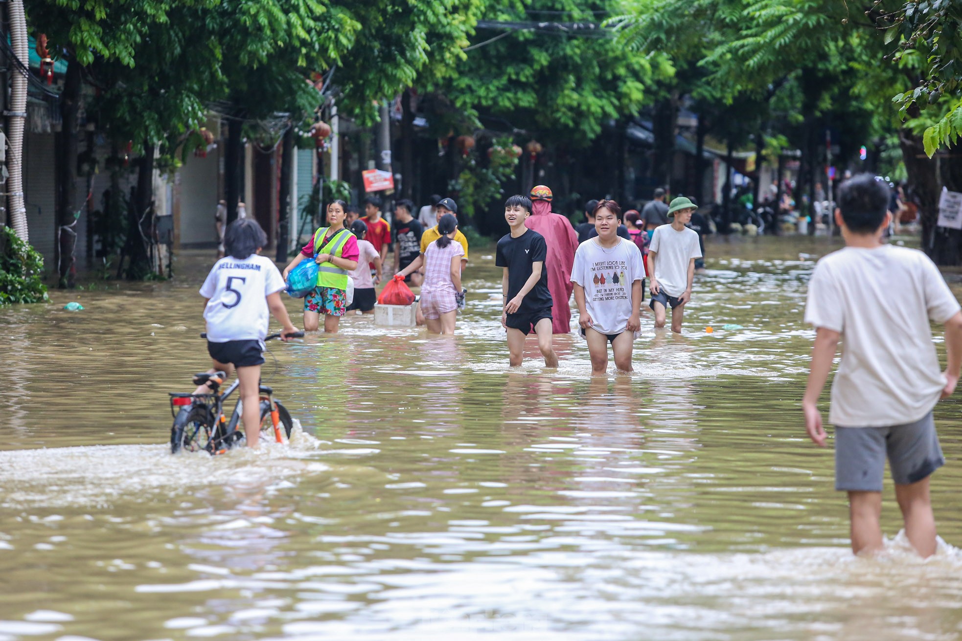 ប្រជាជន​ក្នុង​រាជធានី​បាន​វាយ Tu Lien ឱ្យ​ចុះ​ទៅ​ក្នុង​ទឹក​ដើម្បី​សង្គ្រោះ​ដើមឈើ រូបថត ១