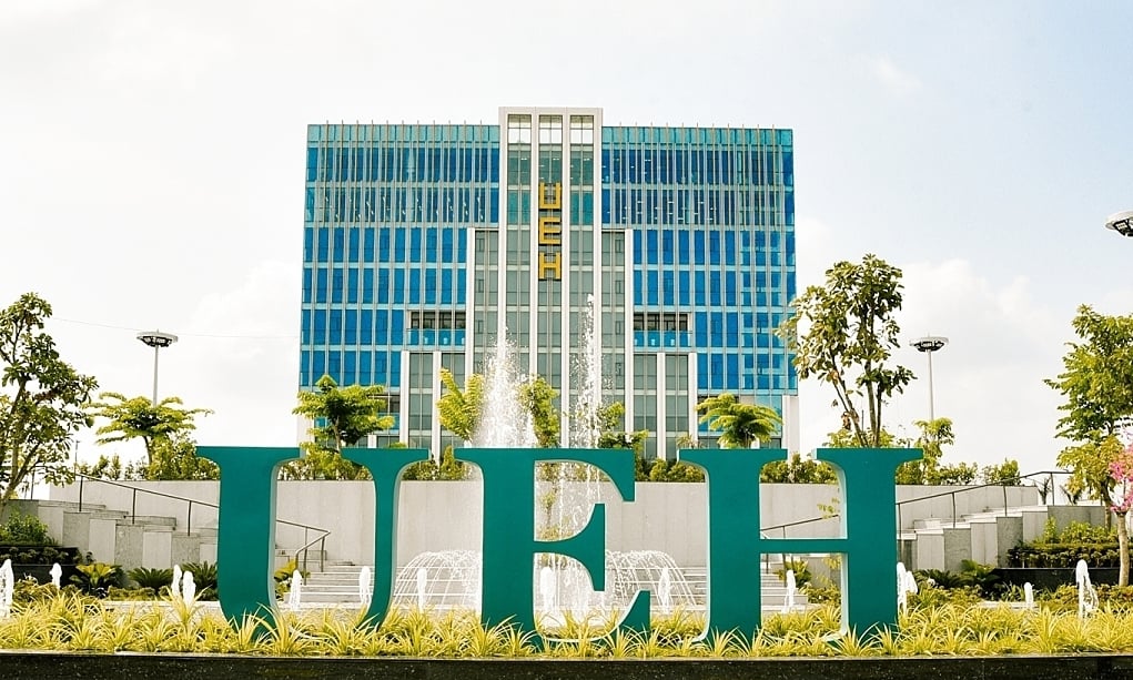 Welches Hauptfach sollte ich an der Ho Chi Minh City University of Economics studieren?