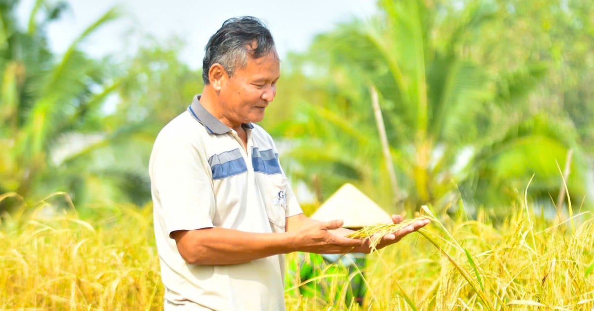 ชายผู้ฟื้นฟูข้าวตามฤดูกาล 40 สายพันธุ์ ได้รับการยกย่องเป็น 'นักวิทยาศาสตร์ของชาวนา'