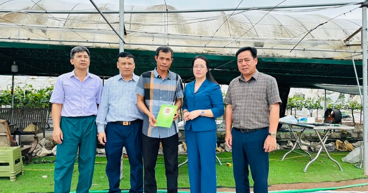 Hanoi Farmers' Association unterstützt Landwirte bei der Bewältigung der Folgen von Sturm Nr. 3