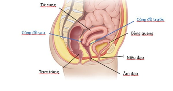 Rách cùng đồ sau quan hệ tình dục, người phụ nữ nguy kịch phải thở máy