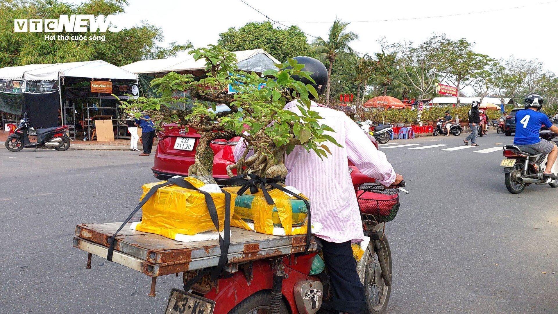 Transportando flores del Tet para ganar millones cada día, los conductores trabajan día y noche - 5