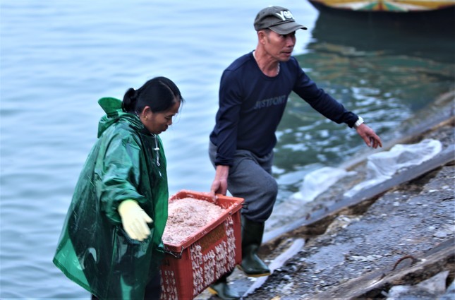 海上で5～7時間、ハティン漁師は大量のエビ漁で数千万ドンを稼ぐ 写真6