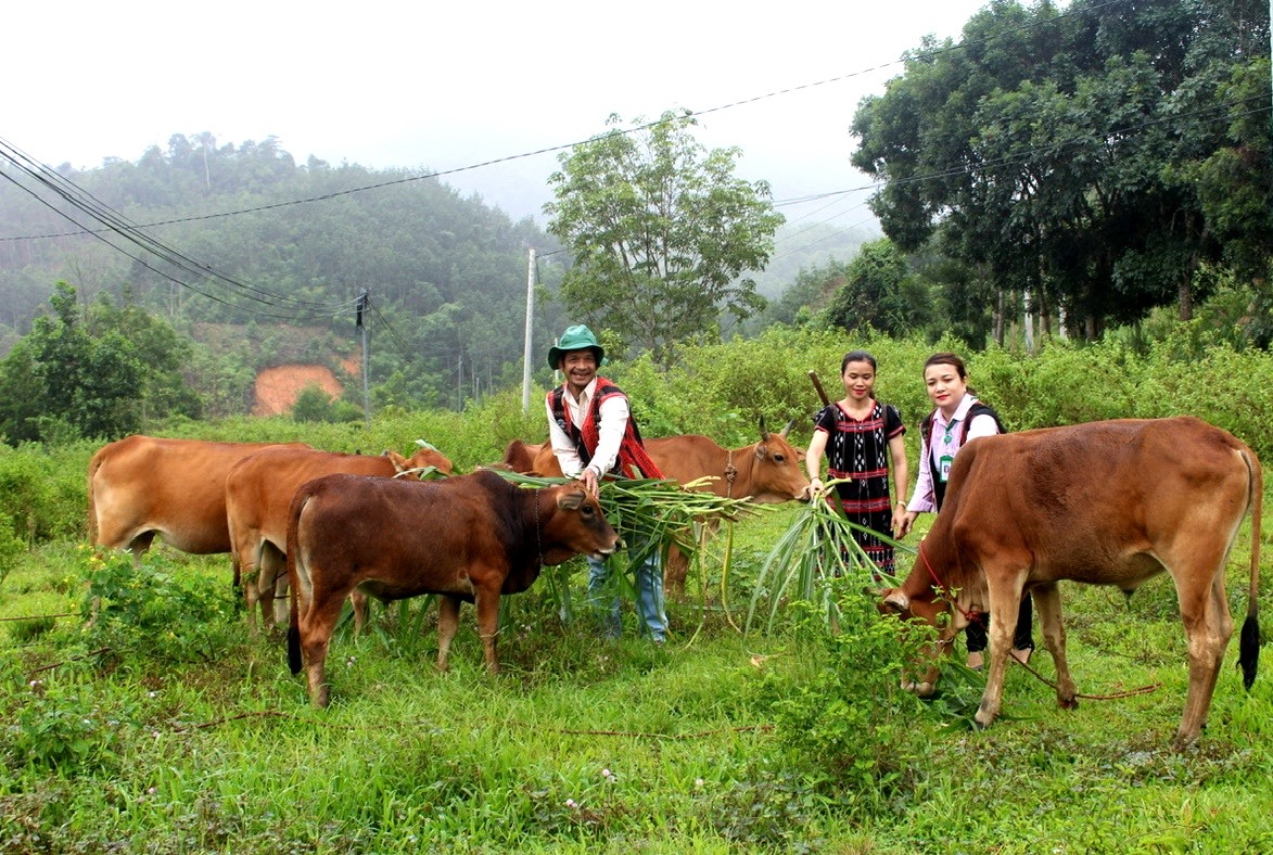 El crédito político ayuda a las personas que viven en zonas montañosas a desarrollar su socioeconomía. Foto: Q.VIET