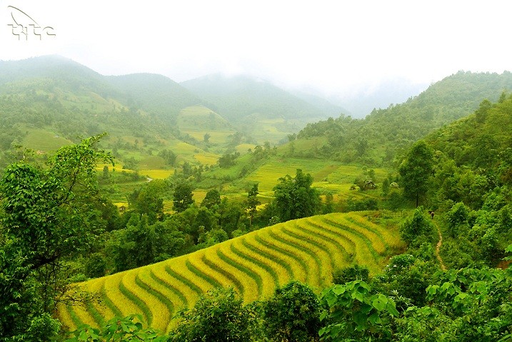 The Travel: Sapa và Cần Thơ là điểm đến mùa Thu đầy hấp dẫn