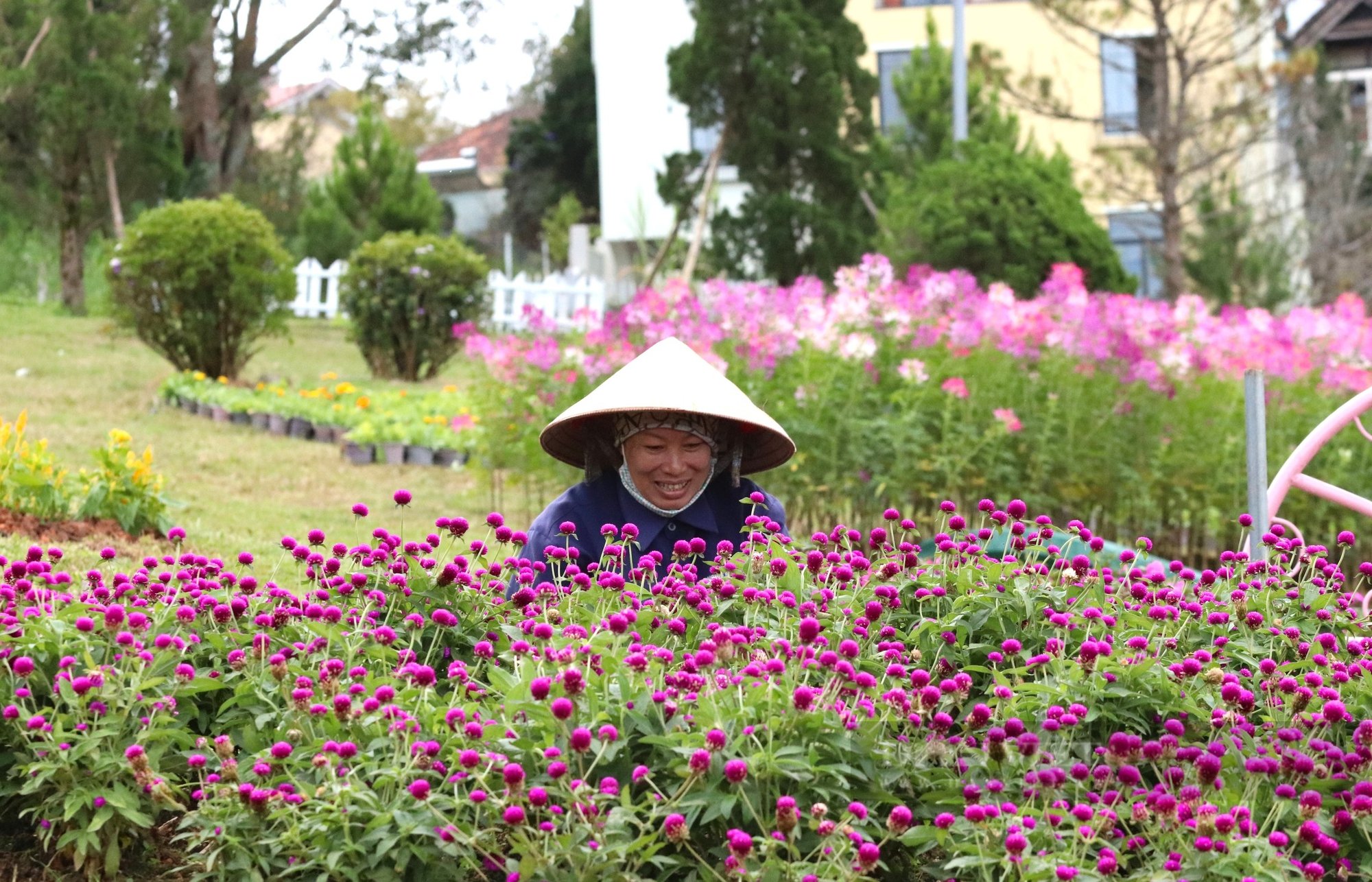 Khẩn trương 