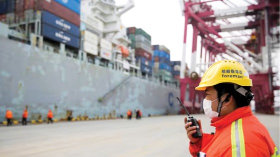 Opérations dans un port à conteneurs en Chine. Photo : Reuters