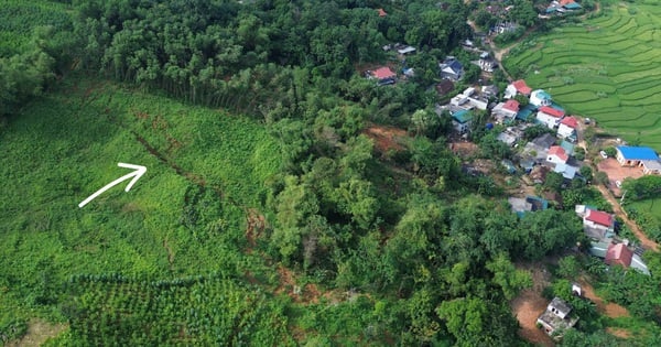 Riesgo de deslizamientos de tierra en colinas y montañas, 12 hogares más en Hoa Binh evacuados urgentemente