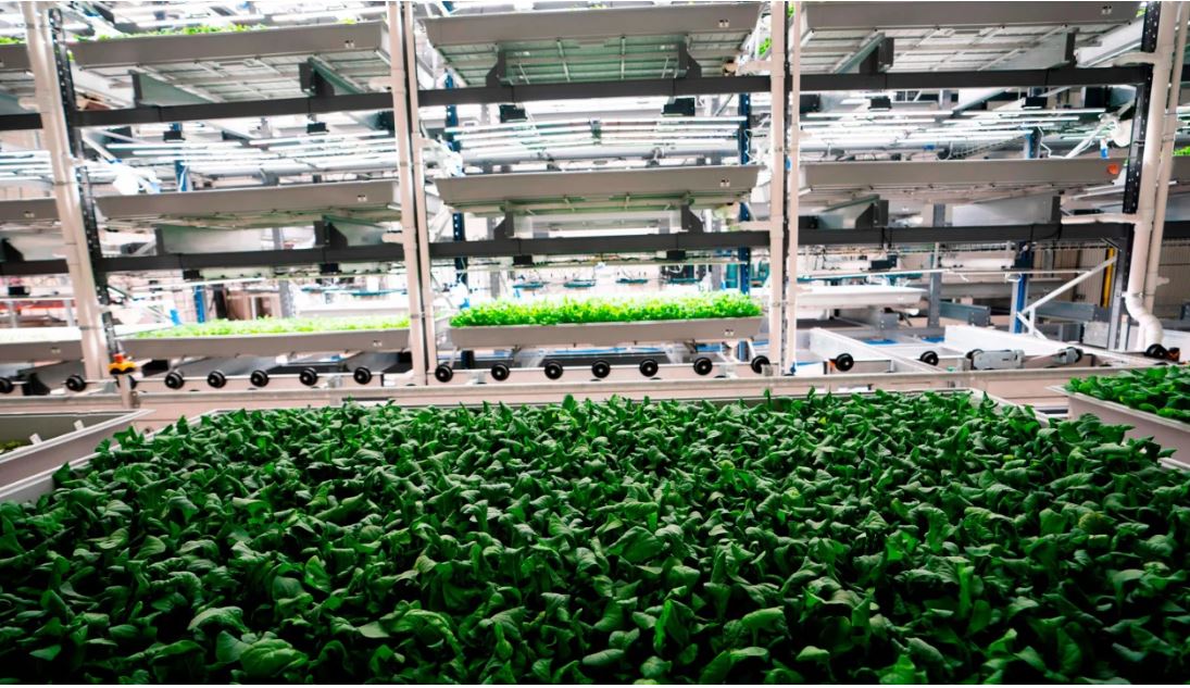 Vertikale Farm von Bowery Farming in Kearny, New Jersey, USA