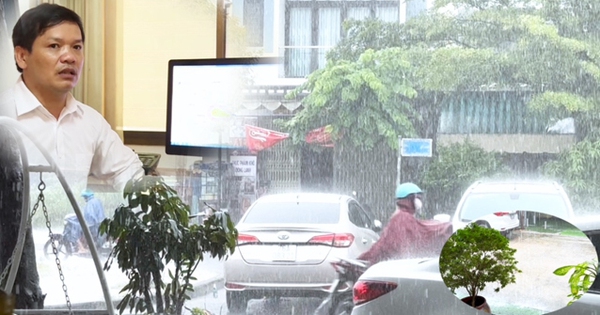 Mưa “trắng trời” dồn dập, kéo dài, Giám đốc Đài Khí tượng Thủy văn phát cảnh báo