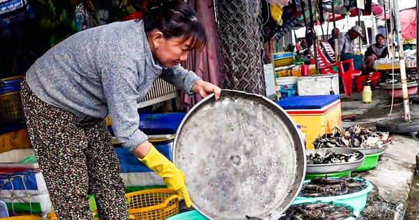 Tại sao giá cua Năm Căn của Cà Mau giảm mạnh, đơn giản là do dân ăn chay thôi?