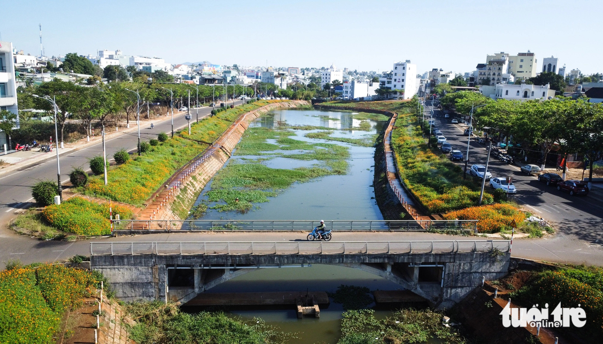 Suối Hội Phú giữa lòng Pleiku đã thoát cảnh ô nhiễm, trở thành suối hoa rực rỡ - Ảnh: TẤN LỰC