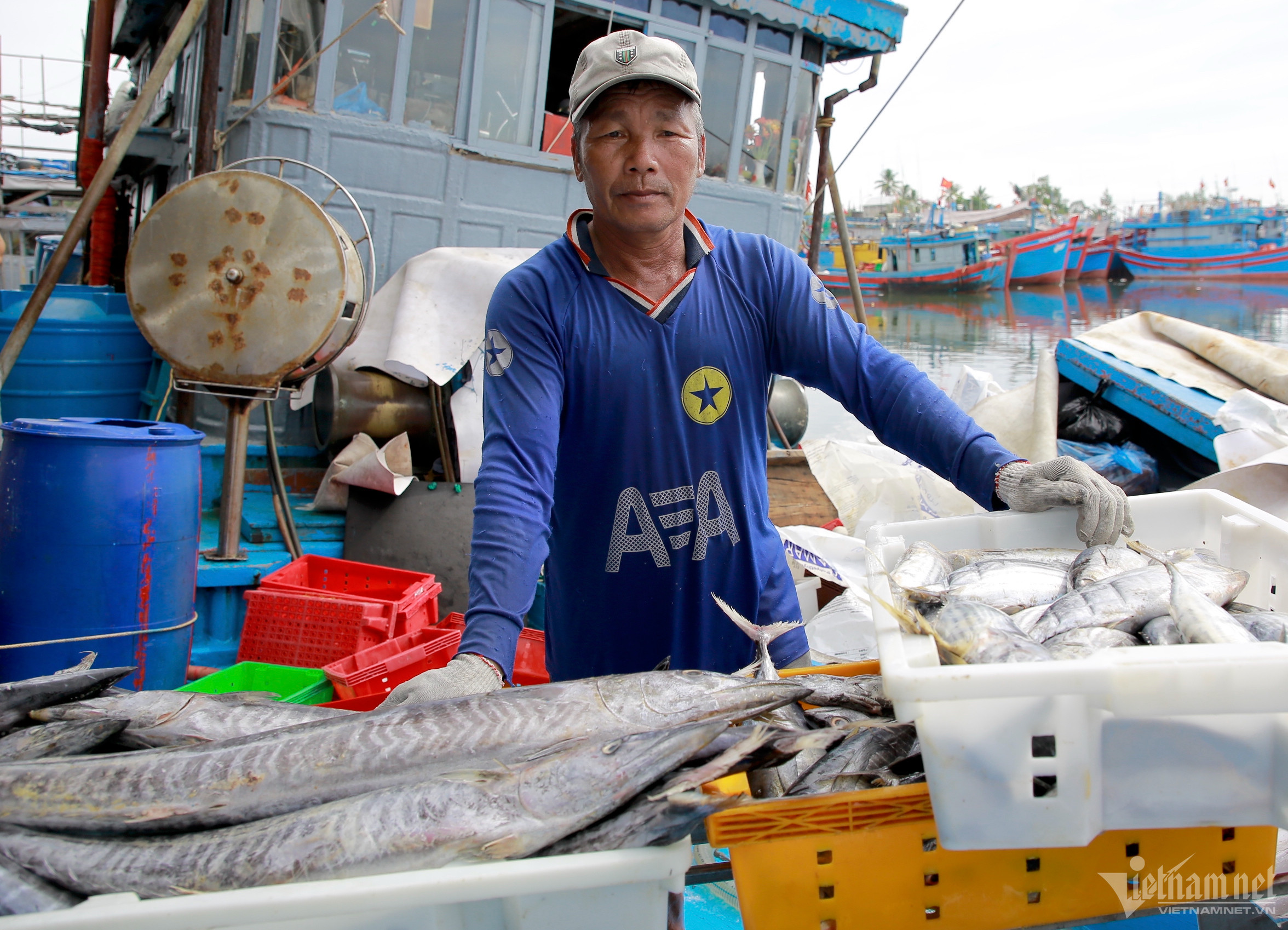 Quảng Nam mạnh tay với tàu cá vi phạm, nỗ lực gỡ ‘thẻ vàng’ IUU