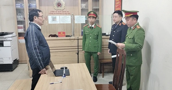 Temporarily detain a director for tax evasion of more than 10 billion VND