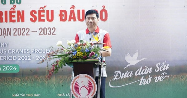 Le président du Comité populaire provincial de Dong Thap appelle à « ramener les grues » ensemble