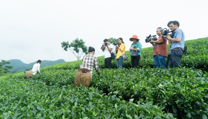 Hơn 30 hội viên nhà báo thực tế sáng tác tại huyện Định Hóa