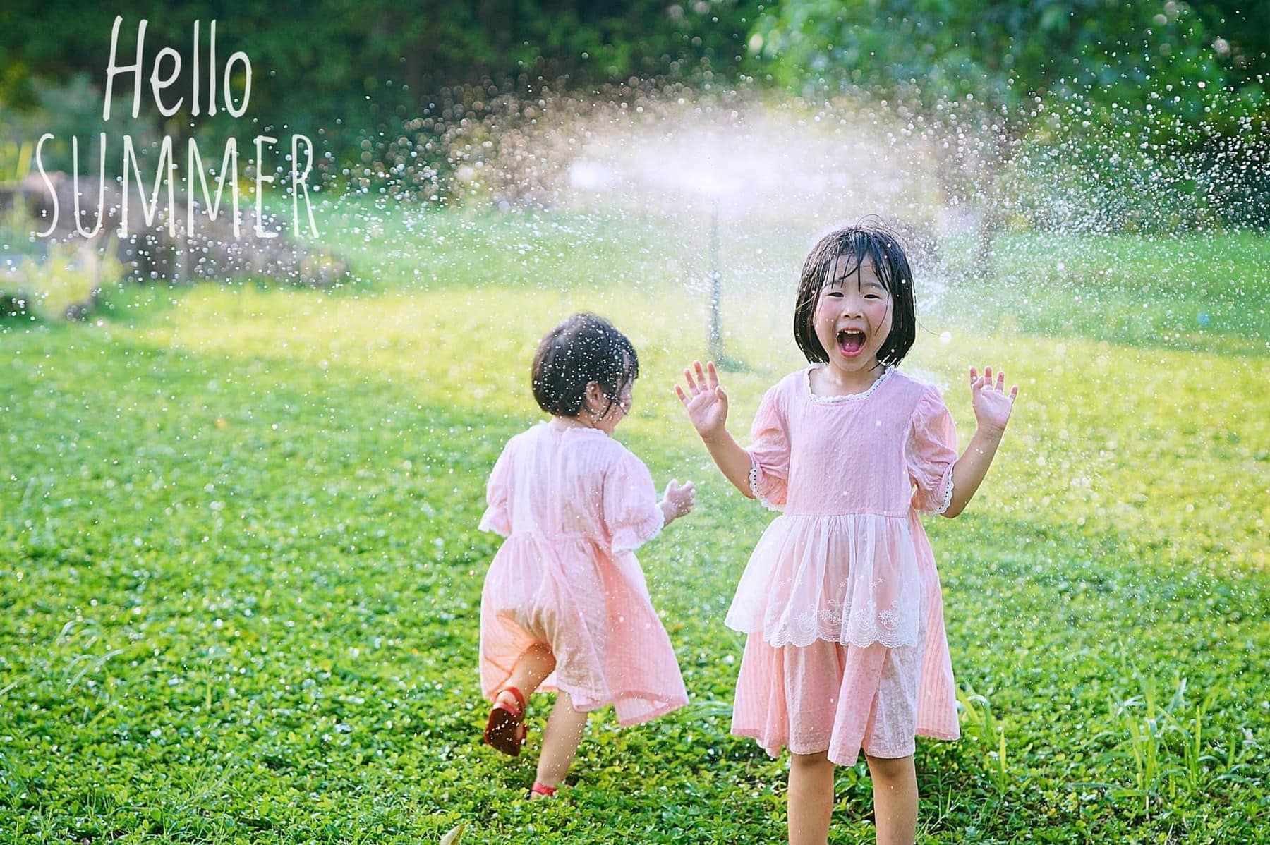 大人には涼しい空気、子供には楽しい自然があるエコパークの写真5