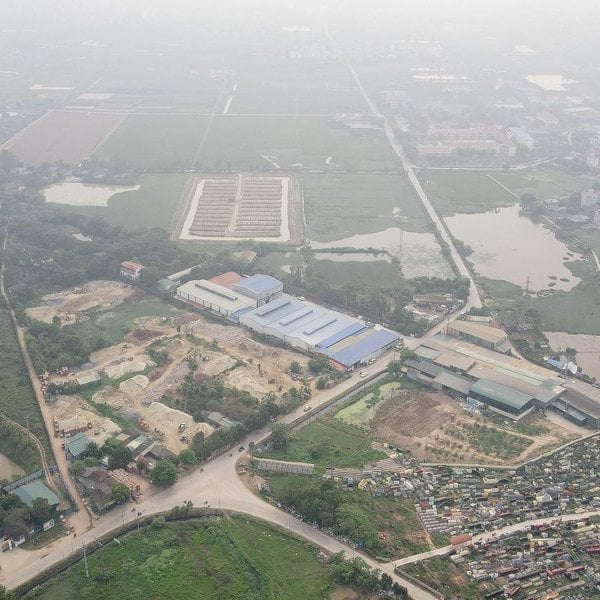 Hanoi fordert entschiedenes Vorgehen bei Verstößen gegen landwirtschaftliche Flächen