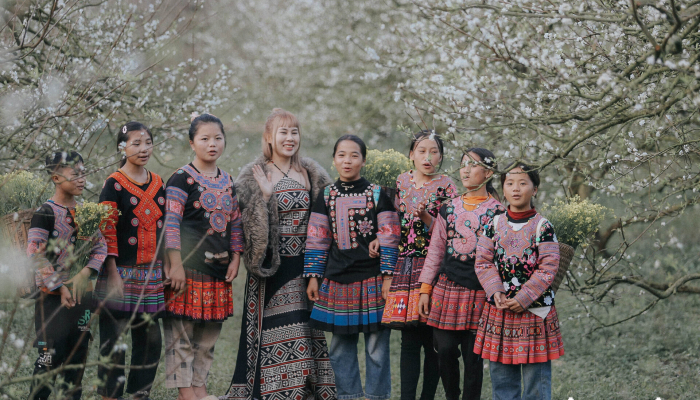 Come to Moc Chau and "lose yourself" in the season of blooming flowers and ripe fruits