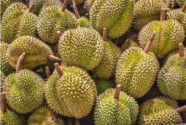 ¿El durian tailandés sigue aumentando?