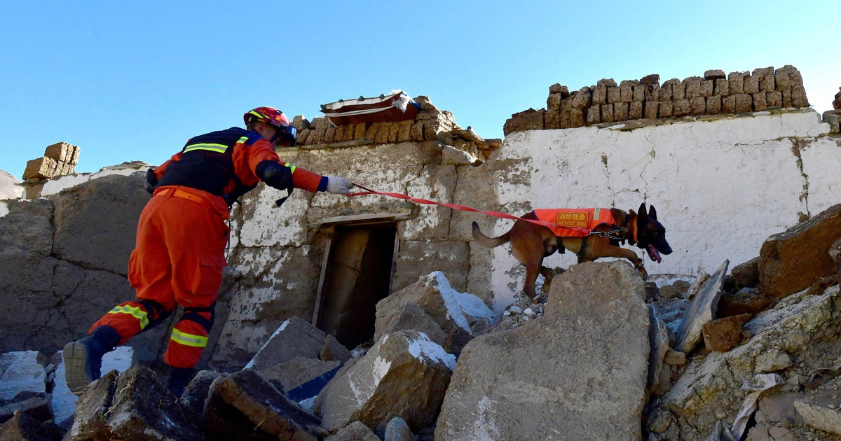 Lors d'une opération de sauvetage au Tibet, la Chine a enregistré un autre tremblement de terre au Qinghai