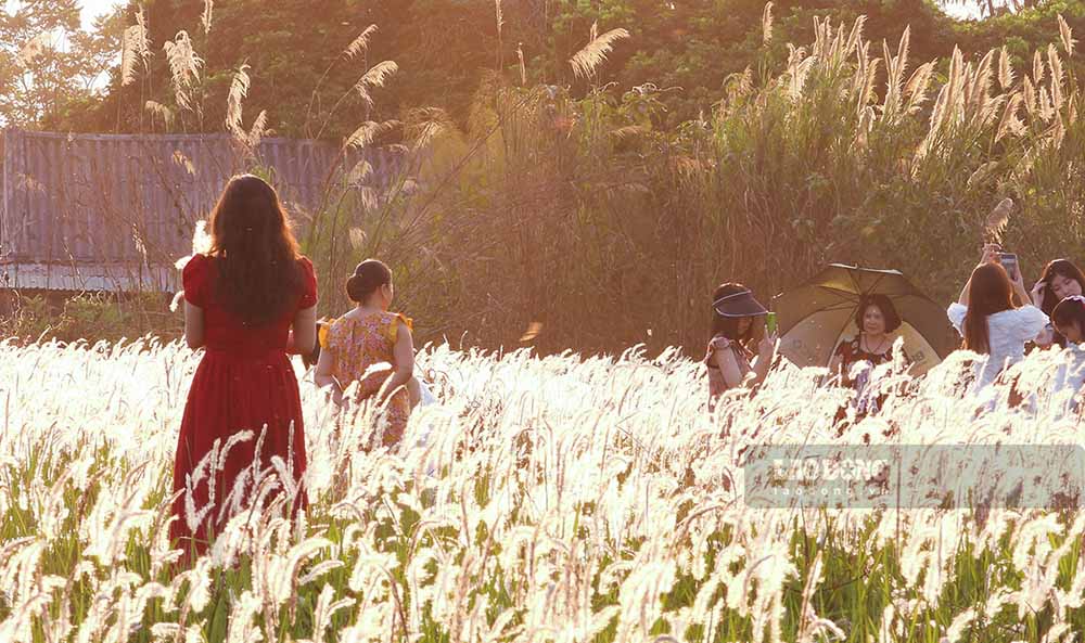 毎日、ディエンビエンフー市の若者を中心に何千人もの人々が、ムオンタンフィールドの芝生広場にチェックインにやって来ます。写真: ヴァン・タン・チュオン